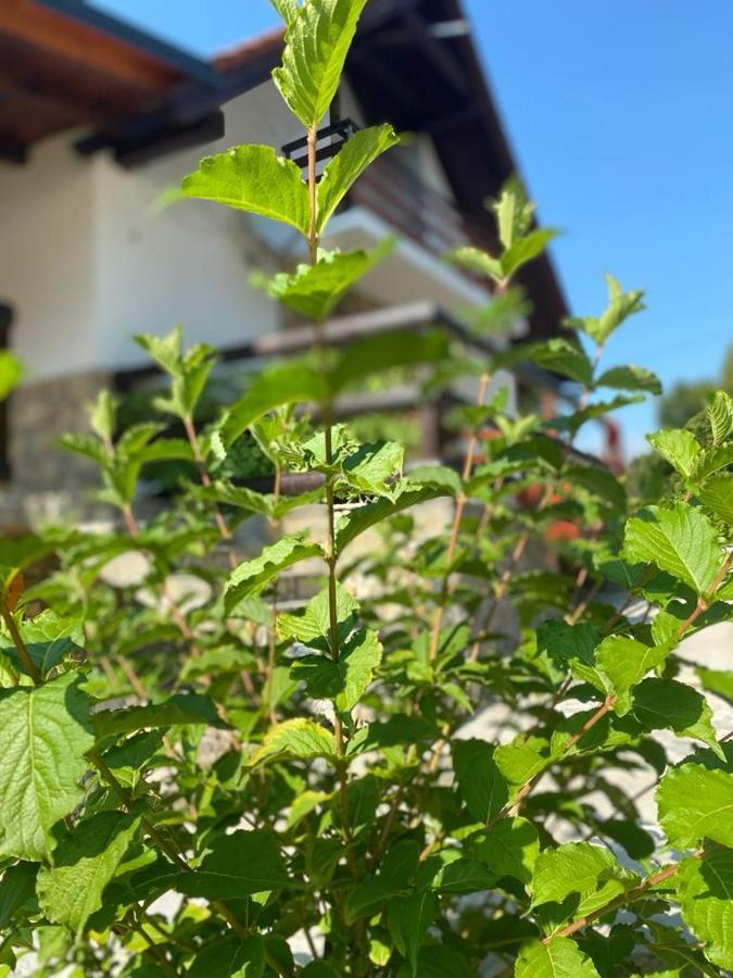 Plitvička Jezera Plitvice Fairytale Bed & Breakfast エクステリア 写真